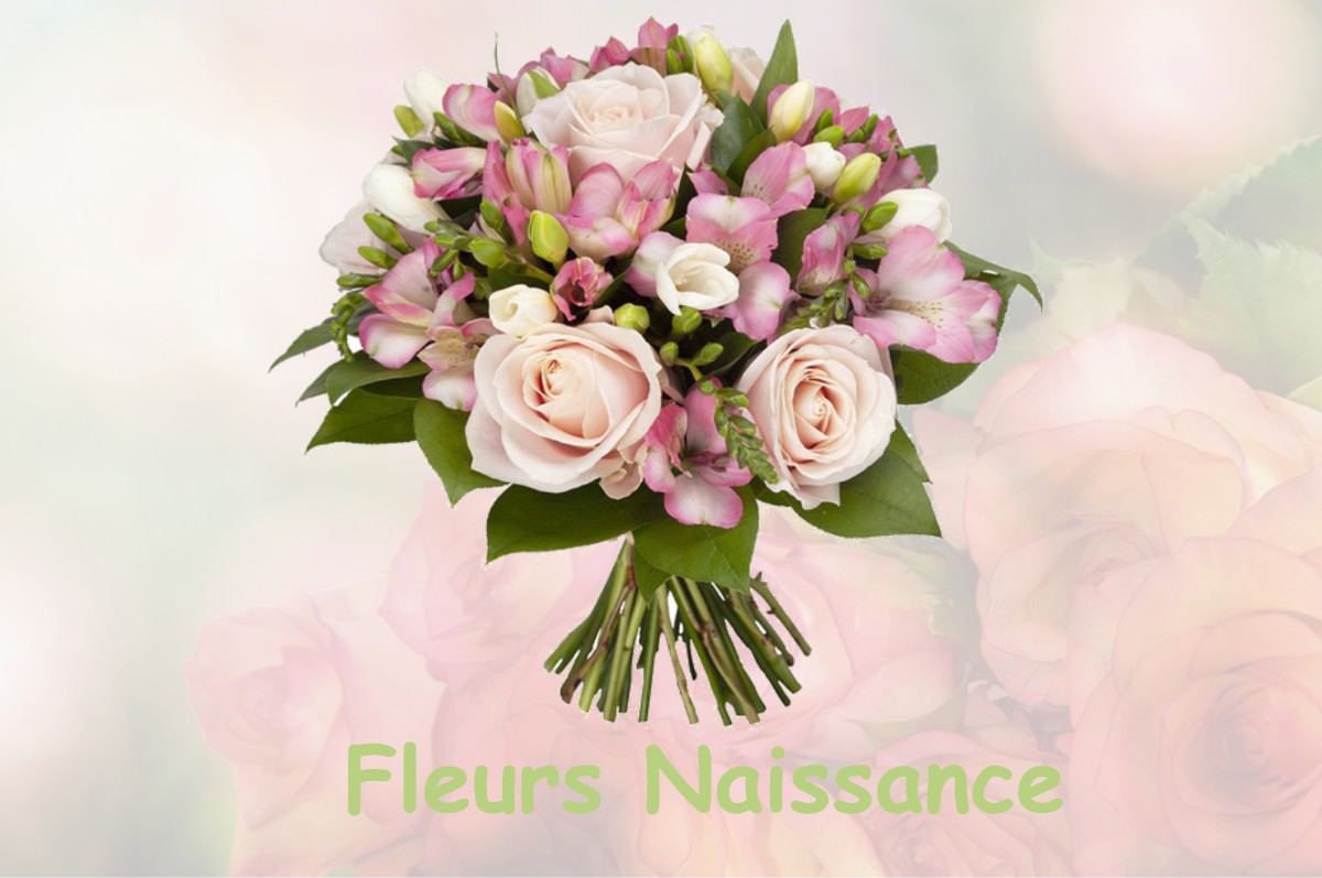 fleurs naissance ROUMENS