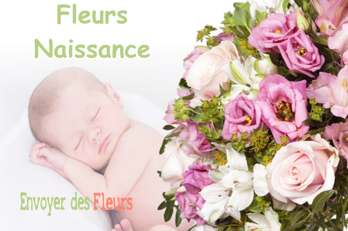 lIVRAISON FLEURS NAISSANCE à ROUMENS